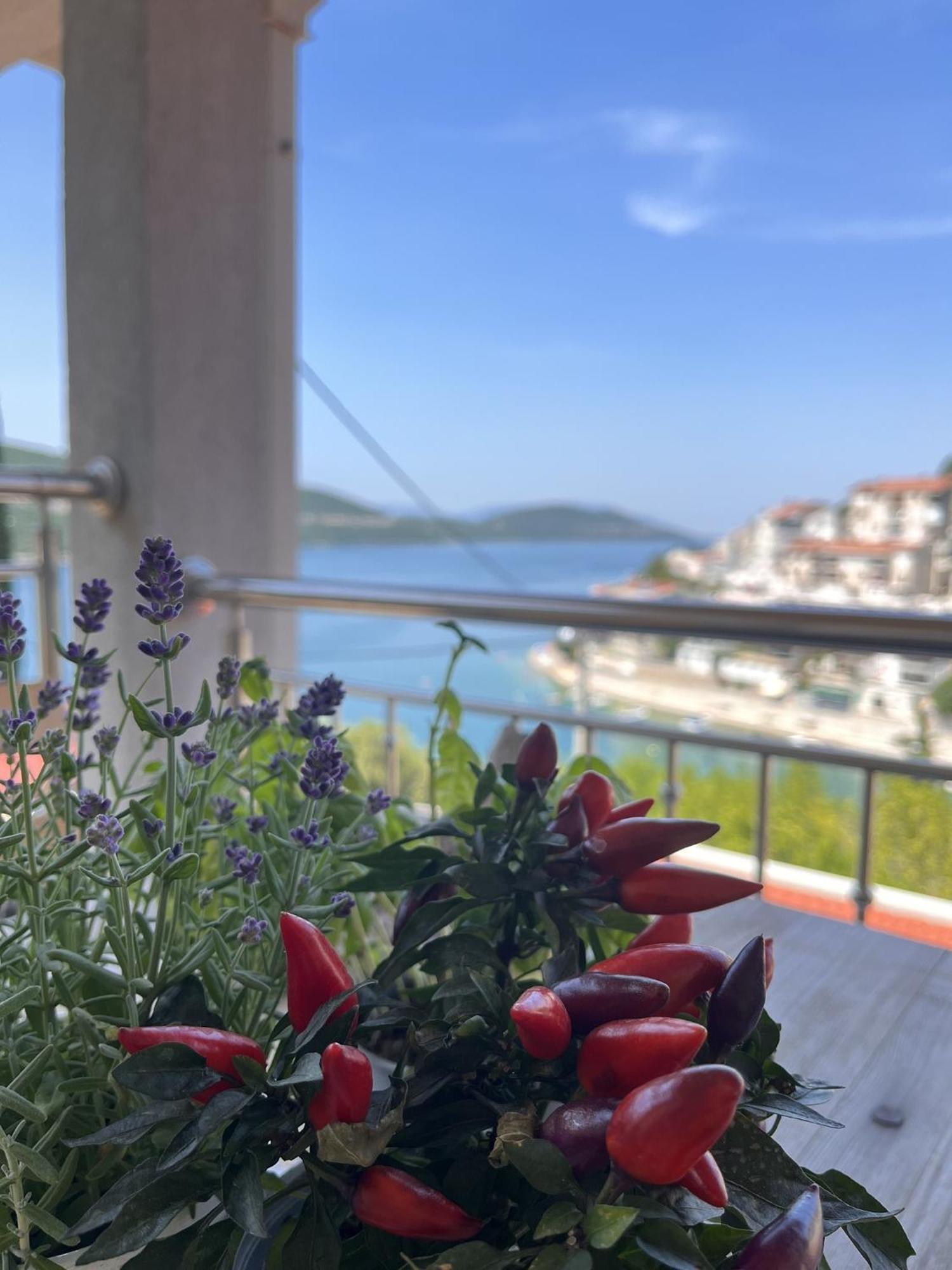 Villa Ljiljana Neum Cameră foto